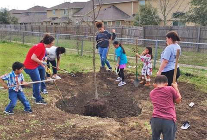 students planting tree at casey elementary