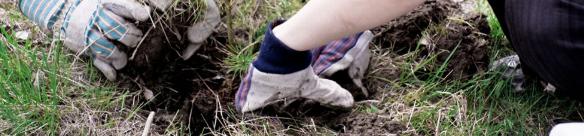 individuals gardening. 