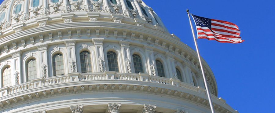 U.S. Capitol Building