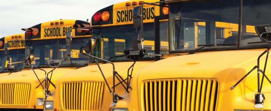 photo of a line of Austin ISD yellow school buses parked side by side