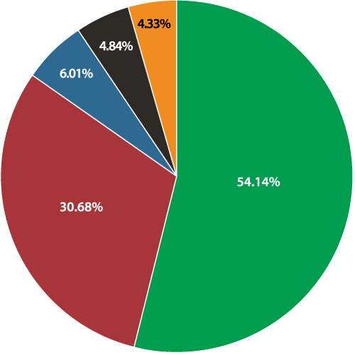 pie chart